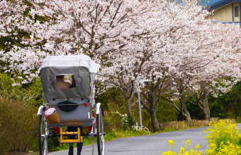 人力車のえびす屋湯布院店