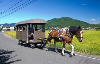 観光辻馬車