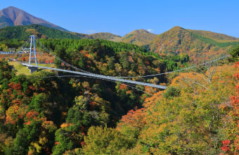 九重“夢”大吊橋