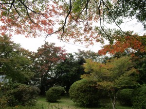 IMG_2334